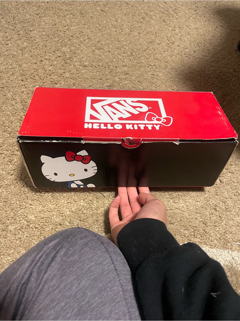 Vans Hello Kitty Black Canvas Sneakers with Red Details - Picture 2 of 8